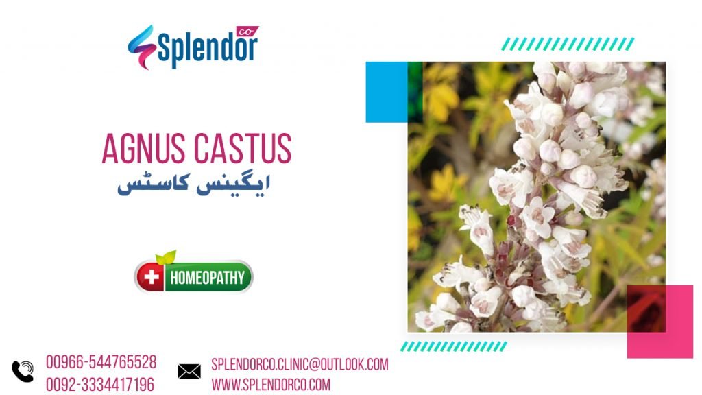 Homeopathic Medicine Agnus Castus Treatment 4699