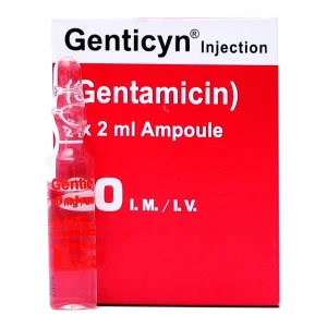 Genticyn 80MG 2ML Inj