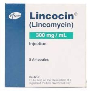 Lincocin 300MG Inj