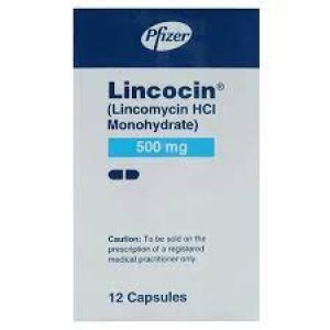 Lincocin 500MG Cap