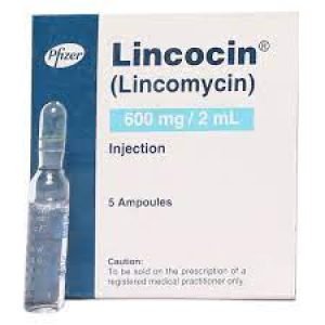 Lincocin 600MG Inj
