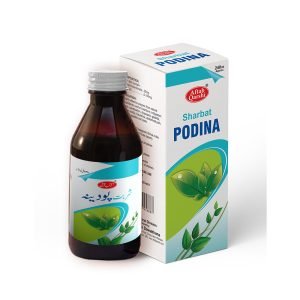 Podina 240ML Sharbat