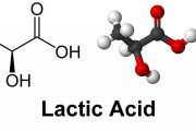 ROLE OF LACTIC ACID IN MUSCLE BURN AND FATIGUE